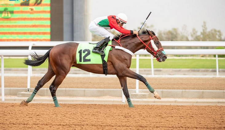 سمو الأمير بندر بن خالد الفيصل: تخصيص حفل للأمهار العسايف ركيزة للمضامير الأساسية على المدى الطويل