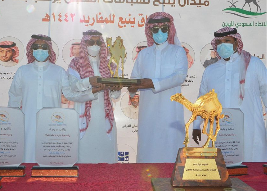 إقامة سباق الهجن بمحافظة ينبع