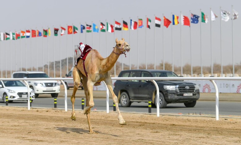 5B6F6BAC-F440-4D0C-A927-07D392757BC2-780x470