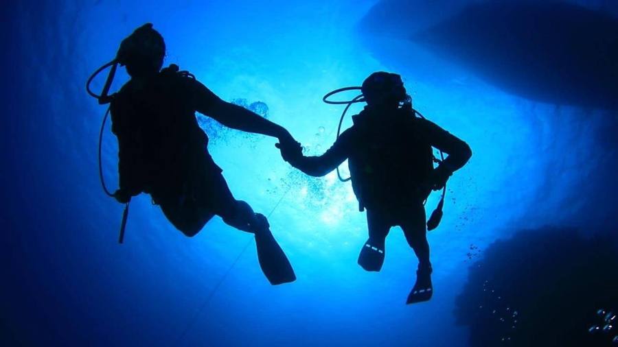 الغوص والأنشطة والرحلات البحرية تجذب زوار شواطئ ينبع في "صيف السعودية"