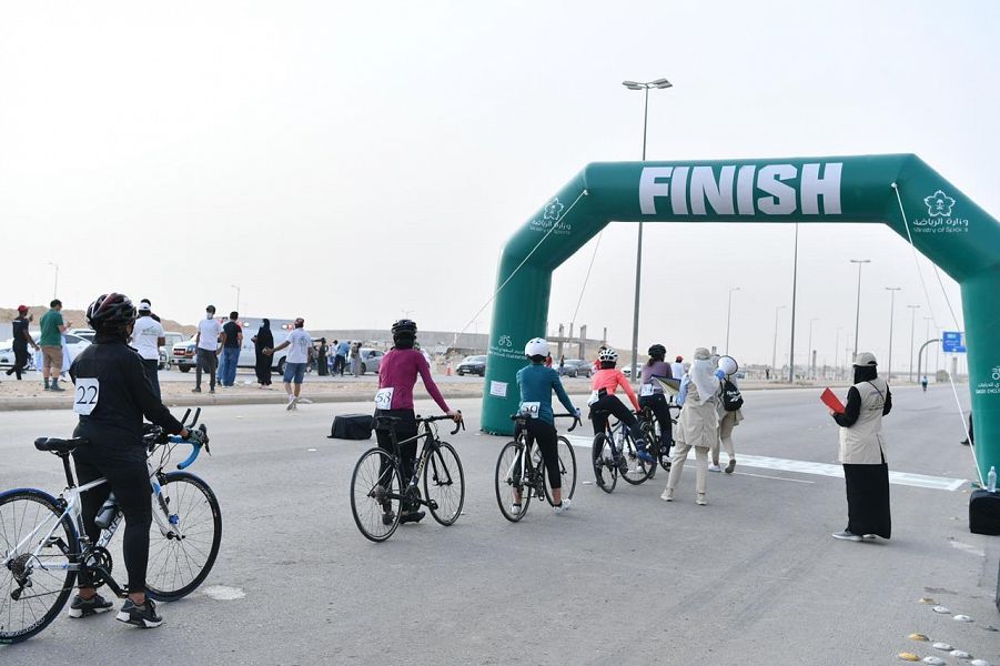 DST_1520817_2331401_52_2_2021031221140623