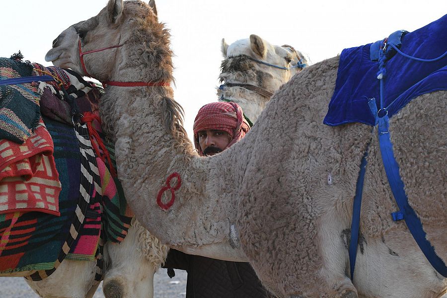 DST_1526329_2341212_48_3_2021031715452639