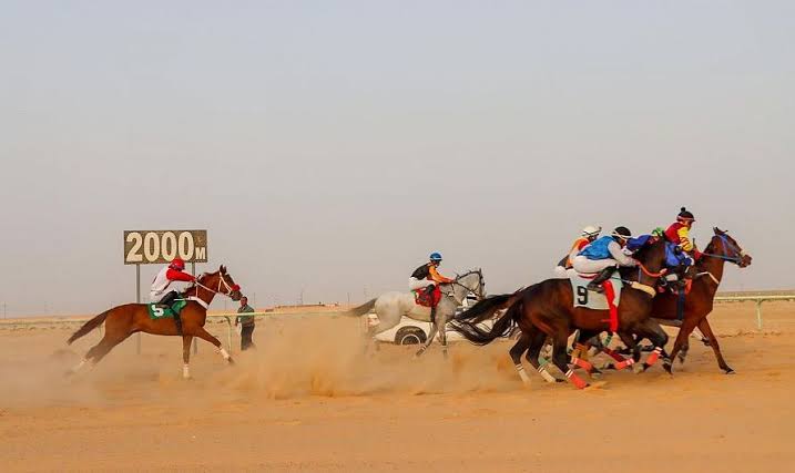 ميدان فروسية الأحساء يقيم حفله الختامي الـ 25 للموسم 1442هـ