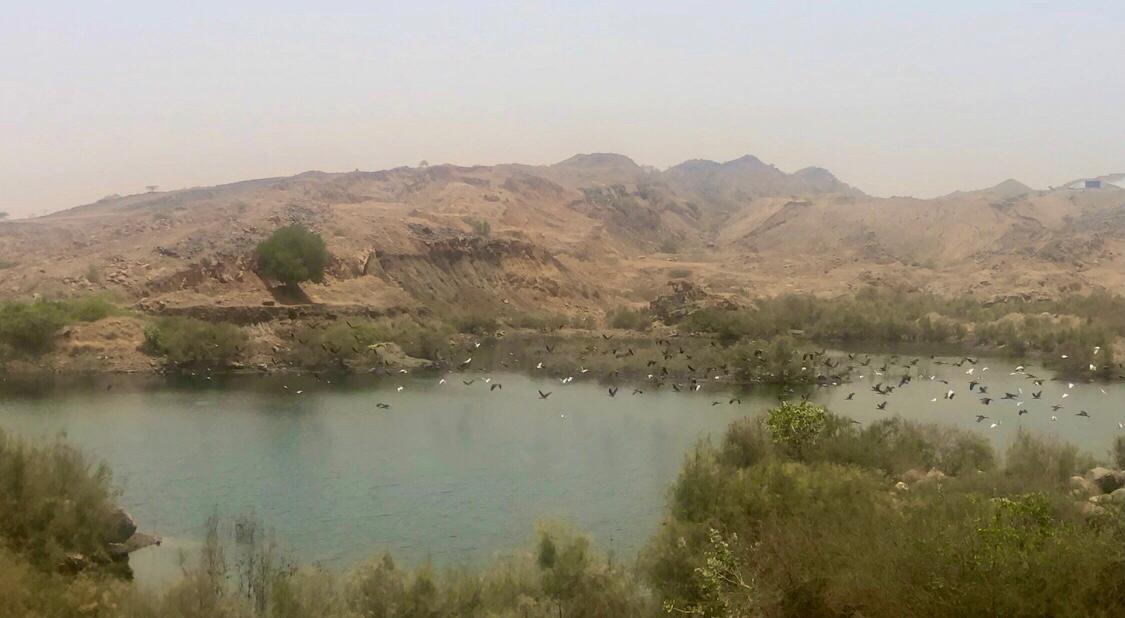 IMG-20210429-WA0011