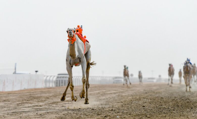 IMG-20210908-WA0035-780x470ص