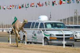 القعود "هلال" يُحقق أفضل توقيت في مساء تاسع أيام مهرجان ولي العهد للهجن3