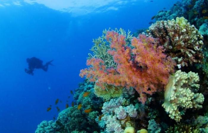 medium_2021-08-12-742d4a27ea