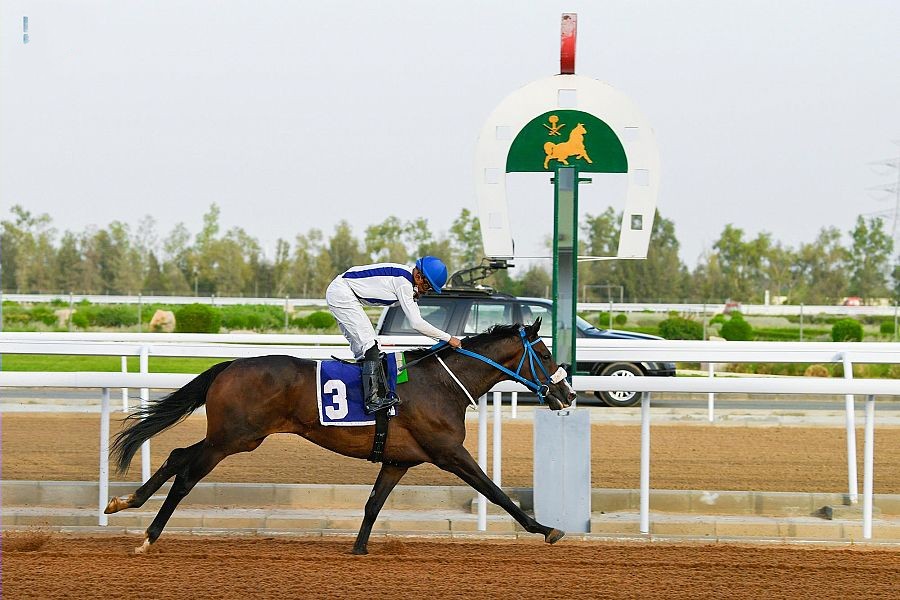 WipeOut17_13_2021_031717.218000