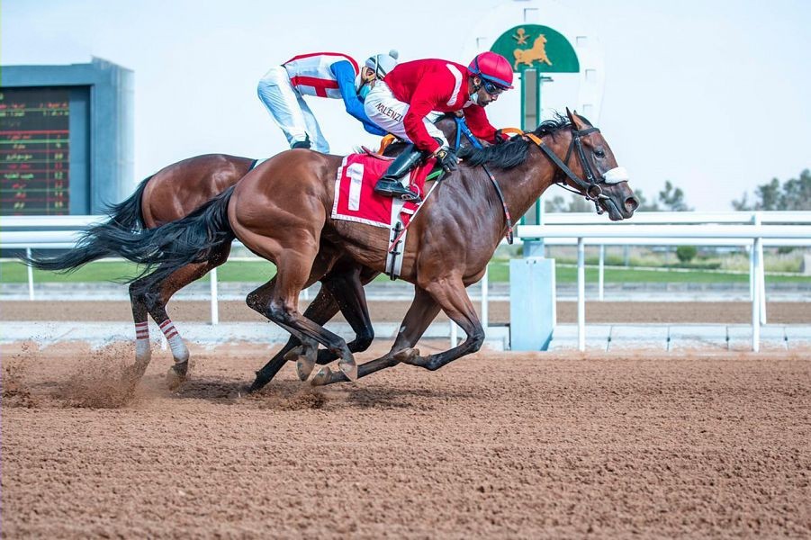 WipeOut37_08_2021_083731.923000