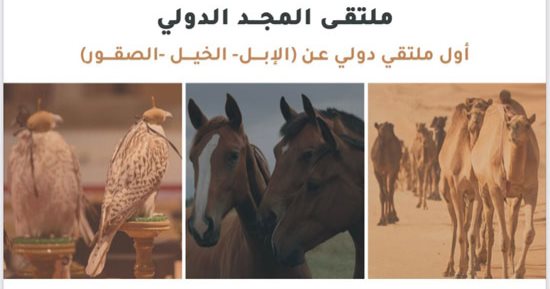 المنظمة الدولية للإبل تعقد اجتماع "ملتقى المجد الدولي" الأول