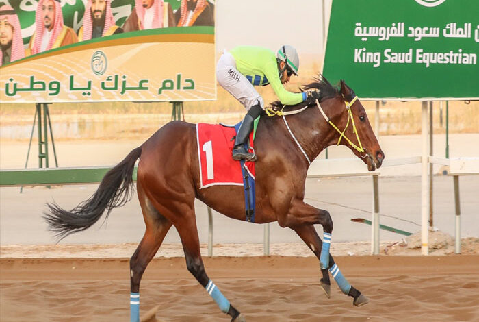 ميدان الملك سعود للفروسية بمنطقة القصيم يقيم حفل سباقة السابع عشر