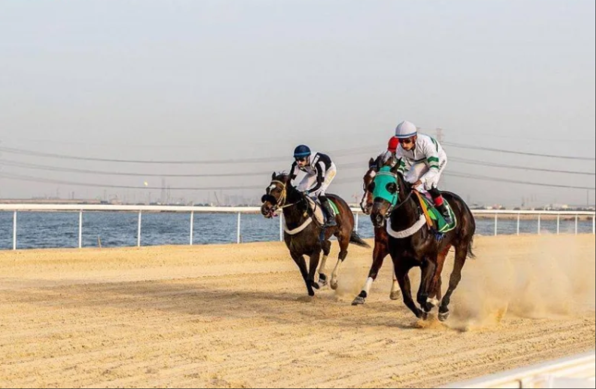ميدان فروسية الجبيل يقيم حفل سباقه الـ 10 للموسم الحالي