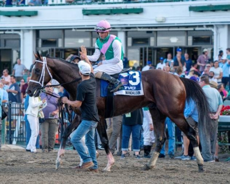 cdn4.premiumread.com-8