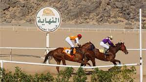فروسية نجران تنظم سباقها السابع عشر للموسم الحالي .. غداً