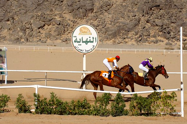 فروسية نجران تقيم سباقها الـ 16 للموسم الحالي 1443هـ على كأس ودعم سباقات نادي الخيل