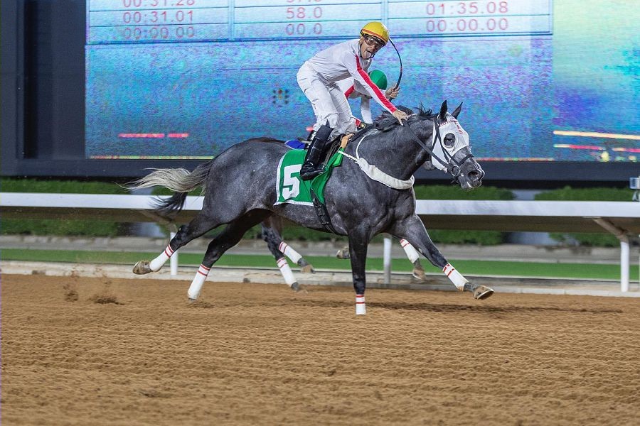 ميدان الملك عبدالعزيز بالرياض يقيم حفله السباقي الـ 45 للفروسية